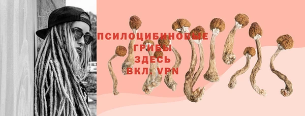 гидра Нязепетровск