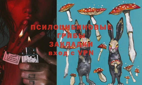 трава Сосновоборск
