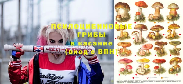 круглые Няндома