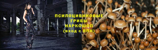 гидра Нязепетровск