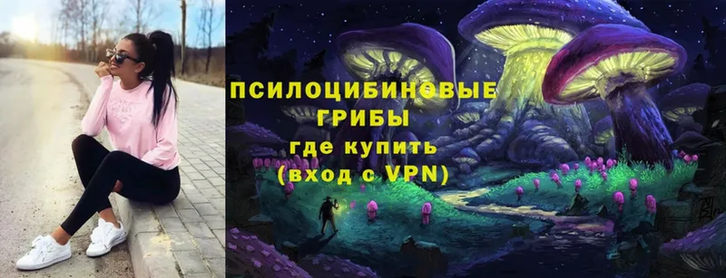 где продают   Мамадыш  это телеграм  Галлюциногенные грибы Psilocybine cubensis 