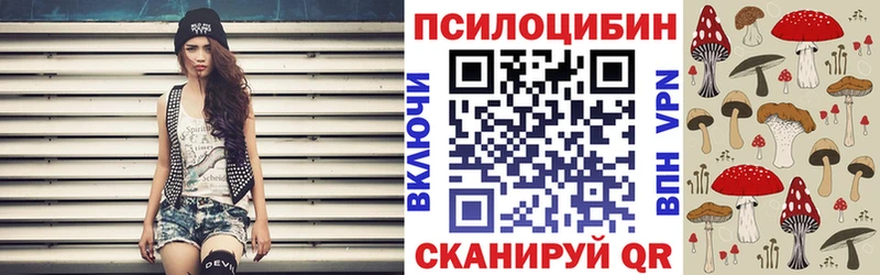 ссылка на мегу как войти  Мамадыш  Галлюциногенные грибы Cubensis 